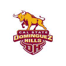 CS DOMINGUEZ HILLS Team Logo